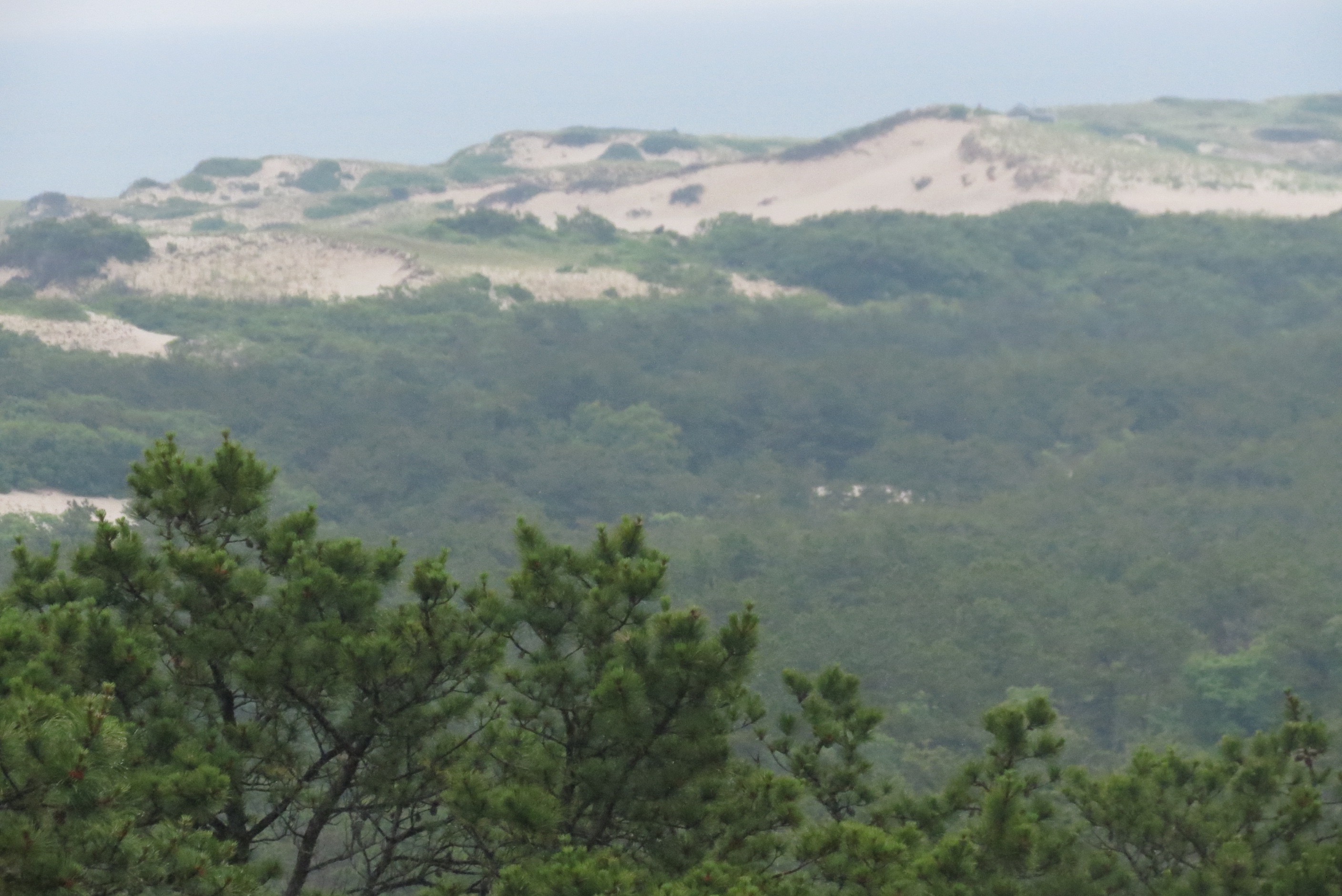 Cape Cod National Seashore