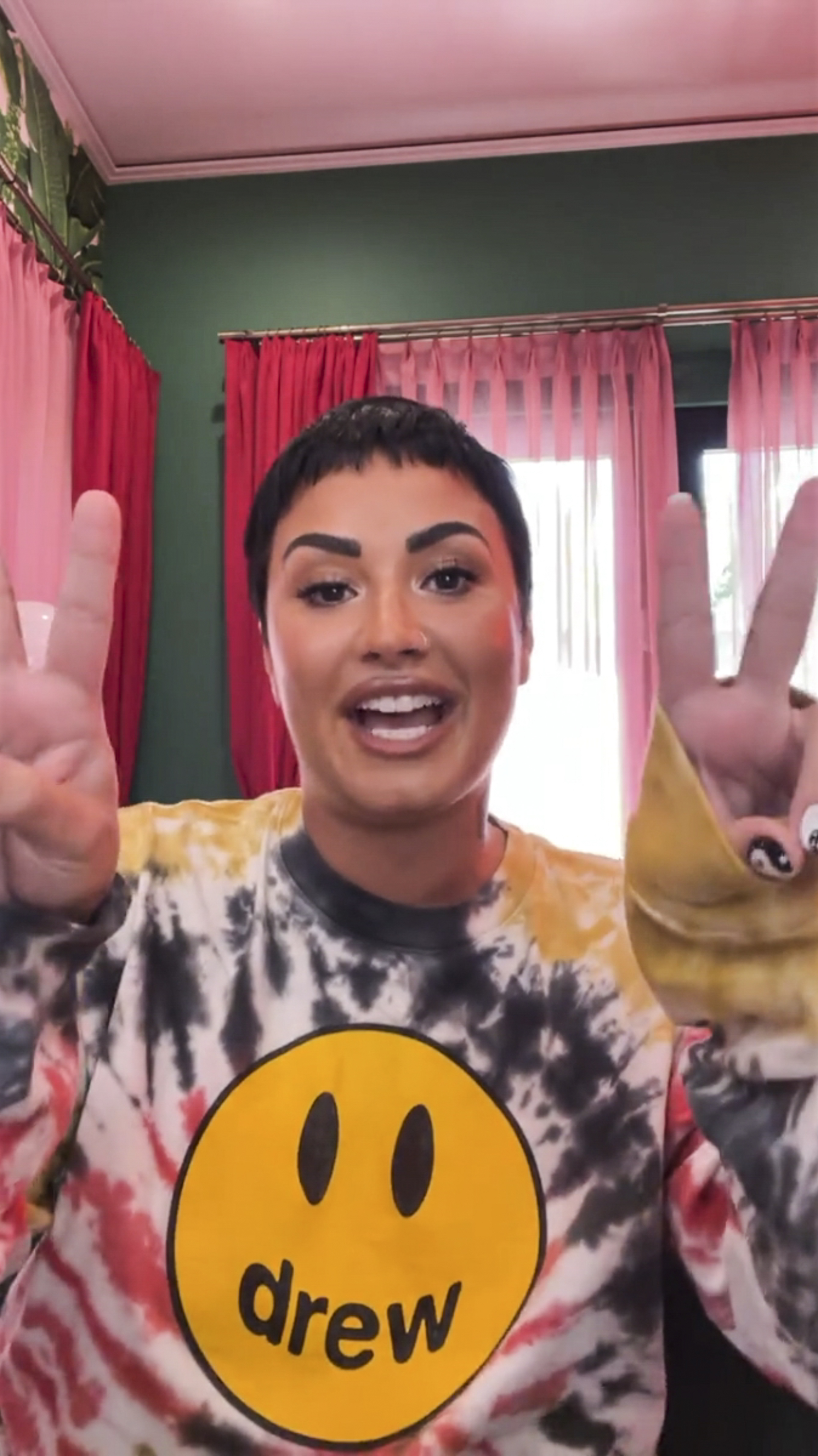 Demi Lovato on social media