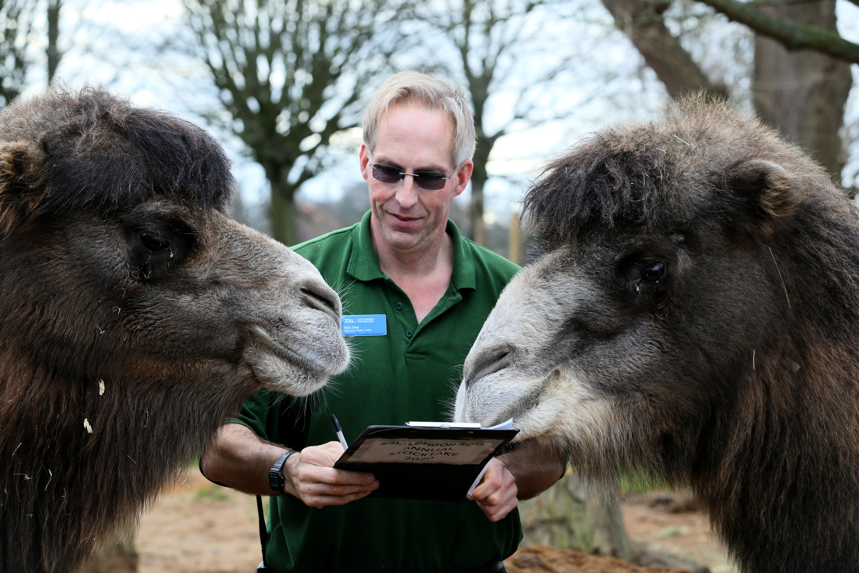 Annual Stocktake at ZSL London Zoo 2020