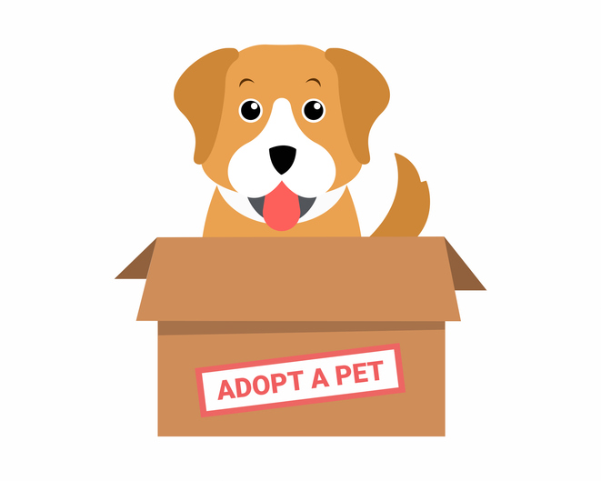 Adopt a pet dog
