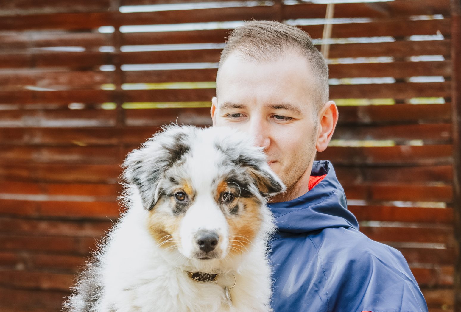 Australian Shepherd Puppy Bonding With His Dad,Romania