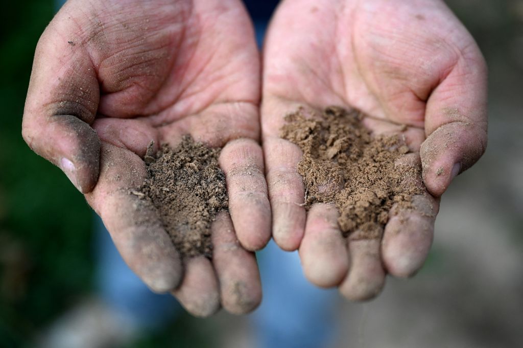 CHINA-ECONOMY-WINE-WOMEN-LIFESTYLE