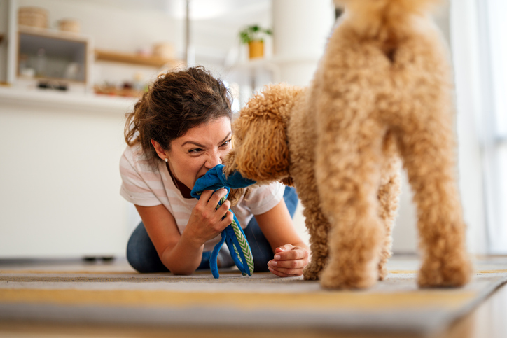 Cute dog enjoys love from owners at home. Couple pets and cares for furry friend, creating a bond.