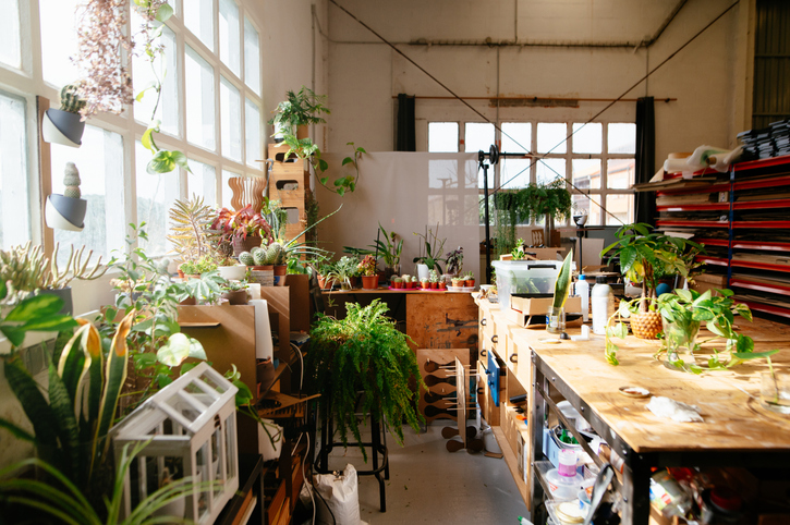 Wide interior of botanical creative studio