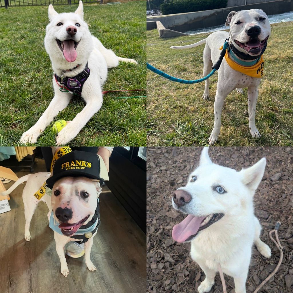 Sadie&Archie